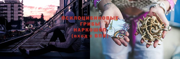 ПСИЛОЦИБИНОВЫЕ ГРИБЫ Богородицк